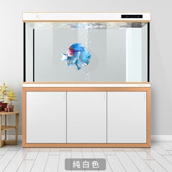 金龍魚水族箱過濾系統(tǒng)選擇：選擇合適的水族箱過濾系統(tǒng)對于金龍魚的健康至關(guān)重要 金龍魚百科 第1張