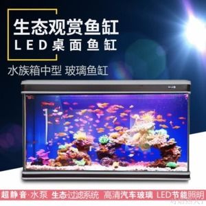 魚缸LED燈光照節(jié)能效果比較：魚缸led燈與熒光燈價格對比 魚缸百科 第1張