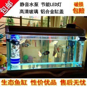 魚缸LED燈光照節(jié)能效果比較：魚缸led燈與熒光燈價格對比 魚缸百科 第2張