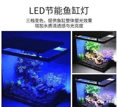 魚缸LED燈光照節(jié)能效果比較：魚缸led燈與熒光燈價格對比 魚缸百科 第6張