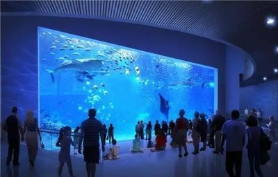 南昌水族館：南昌旅游攻略，南昌水族館 全國觀賞魚市場 第2張