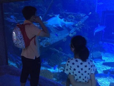 南昌水族館：南昌旅游攻略，南昌水族館 全國觀賞魚市場 第3張