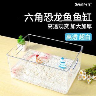 六角恐龍魚魚缸造景多少錢一條：六角恐龍魚缸造景多少錢一條六角恐龍魚魚缸造景價格 魚缸百科 第1張