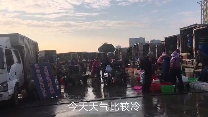 珠海水族批發(fā)市場(chǎng)：珠海水族批發(fā)基地在哪里有啊多少錢(qián) 全國(guó)觀(guān)賞魚(yú)市場(chǎng) 第1張