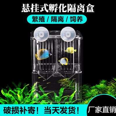 魚缸隔離盒有用嗎：如何自制魚缸隔離盒 魚缸百科 第5張