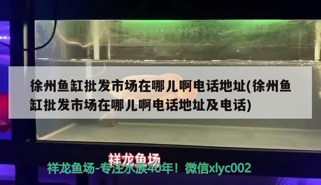 徐州魚缸批發(fā)市場：徐州哪里有賣魚缸的 全國觀賞魚市場 第5張