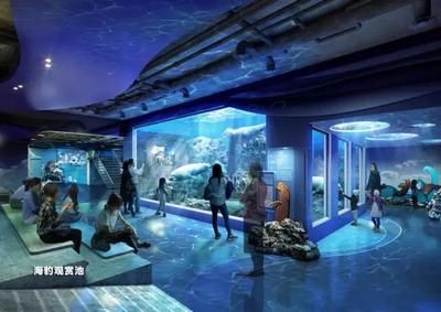 安陽水族館：安陽市北關(guān)區(qū)小魚餌水族館 全國觀賞魚市場 第3張