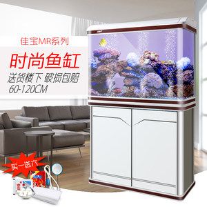 紅龍魚要吃什么魚糧好：紅龍魚吃什么魚糧好 水族問答 第1張