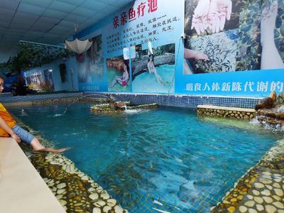 陽江水族館：美的印章、氣韻生動(dòng)的位于中國 全國觀賞魚市場 第3張