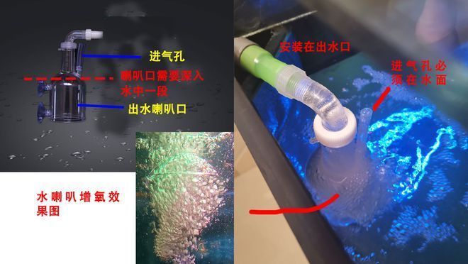 底濾魚缸文氏管增氧制作過程：底濾魚缸文氏管增氧制作過程涉及幾個(gè)關(guān)鍵步驟 魚缸百科 第5張