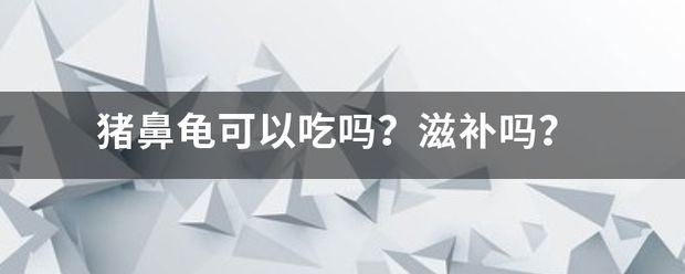 豬鼻龜好吃嗎？：豬鼻龜怎么飼養(yǎng)？ 豬鼻龜百科 第9張