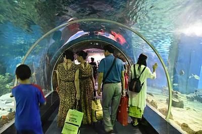 岳陽(yáng)水族館：岳陽(yáng)水族館開放時(shí)間安排岳陽(yáng)水族館親子活動(dòng)安排 全國(guó)觀賞魚市場(chǎng) 第2張