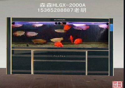 龍魚缸十大名牌排行榜最新：2024年最新的龍魚缸十大名牌排行榜 龍魚百科 第4張