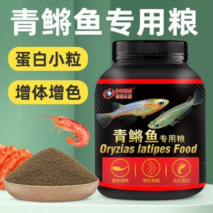 紅龍魚最貴的魚排名前十：紅龍魚中價格最貴的十種魚 水族問答 第1張