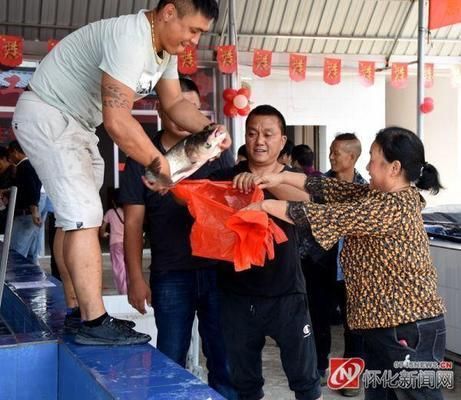 懷化水族批發(fā)市場：懷化市水族批發(fā)市場 全國觀賞魚市場 第1張