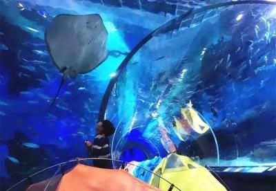 南陽水族館：南陽市水飾界水族館 全國觀賞魚市場 第1張