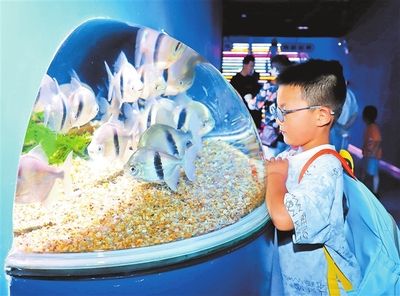 南陽水族館：南陽市水飾界水族館 全國觀賞魚市場 第3張