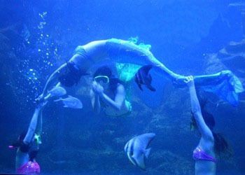 桂林水族館：桂林旅游攻略桂林水族館