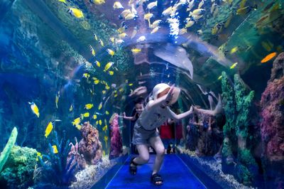 桂林水族館：桂林旅游攻略桂林水族館