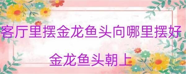 金龍魚游姿異常的原因分析：金龍魚游姿異?？赡苡捎诙喾N因素引起金龍魚游姿異常