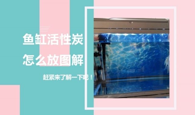 魚缸活性炭如何使用：魚缸活性炭的正確使用方法 魚缸百科 第1張