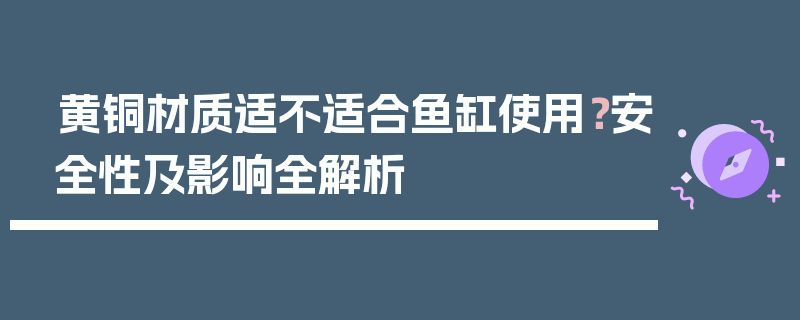 魚缸裝飾材料安全性檢測(cè)方法：魚缸裝飾材料安全性檢測(cè) 魚缸百科 第5張