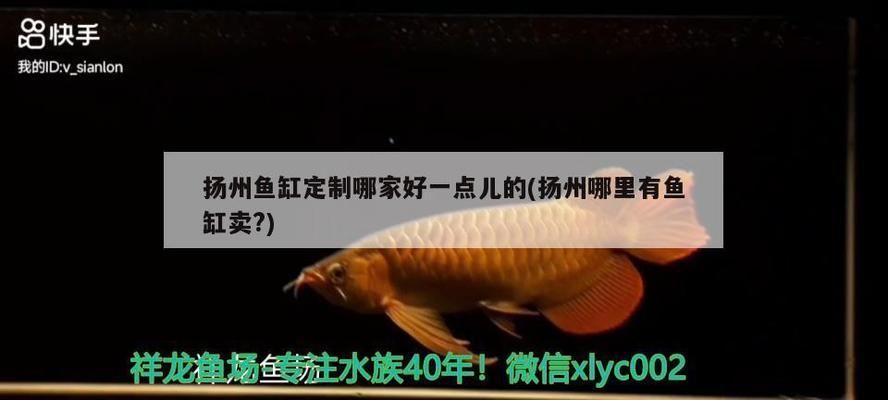 江彩魚缸生產(chǎn)廠家地址：江彩魚缸生產(chǎn)廠家地址詳情 魚缸百科 第5張