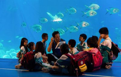 畢節(jié)水族館：畢節(jié)市金沙縣彎橋水族館彎橋水族館營(yíng)業(yè)時(shí)間優(yōu)惠活動(dòng) 全國(guó)觀賞魚(yú)市場(chǎng) 第3張