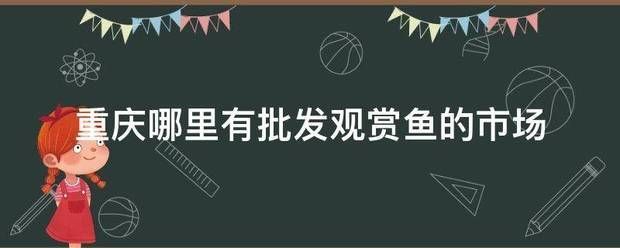 重慶觀賞魚批發(fā)市場：重慶觀賞魚批發(fā)市場價格對比重慶觀賞魚批發(fā)市場有哪些地方 全國觀賞魚市場 第10張