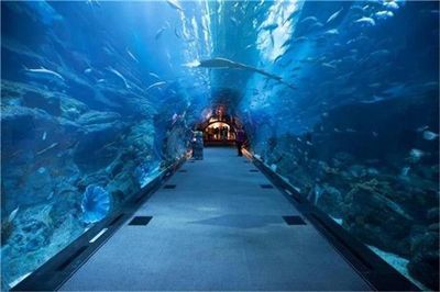 銅陵水族館：銅陵國際文化城周邊水族館開放時間銅陵水族館開放時間