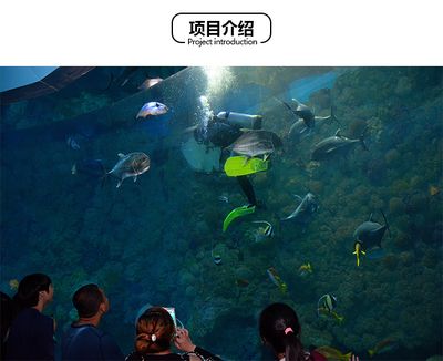 銅陵水族館：銅陵國際文化城周邊水族館開放時間銅陵水族館開放時間