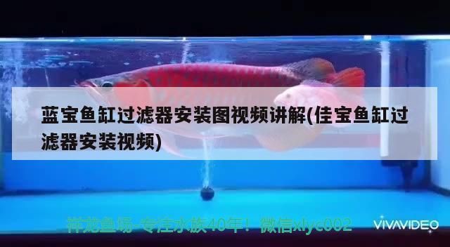 佳寶魚缸過濾器安裝視頻：佳寶魚缸過濾器安裝方法佳寶魚缸過濾器安裝方法 魚缸百科 第2張