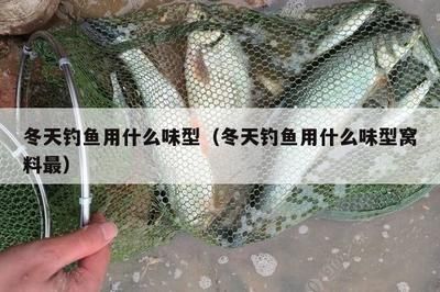 蝴蝶鯉跟龍魚混養(yǎng)會(huì)影響龍魚嗎：蝴蝶鯉與龍魚混養(yǎng)，它們會(huì)相互影響嗎？ 水族問答 第2張