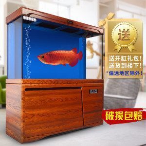 西龍魚缸專業(yè)評測,不看后悔：西龍魚缸安裝指南 魚缸百科 第5張