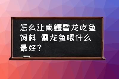 雷龍魚(yú)喂飼料長(zhǎng)得快嗎視頻：觀賞魚(yú)飼料成分解析雷龍魚(yú)飼料成分解析雷龍魚(yú)飼料成分解析 龍魚(yú)百科 第3張