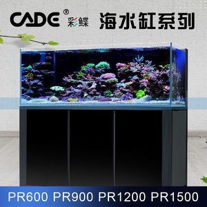 魚(yú)缸的品牌排行榜：2024年最受歡迎的魚(yú)缸品牌排行榜 魚(yú)缸百科 第5張