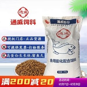 金龍魚 多少錢：金龍魚的價格范圍是多少金龍魚的油品在保存時需要注意什么 水族問答 第1張