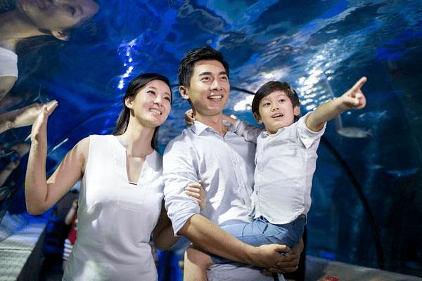 呼和浩特水族館：呼和浩特海洋生物種類和先進的展示技術吸引了眾多游客 全國觀賞魚市場 第4張