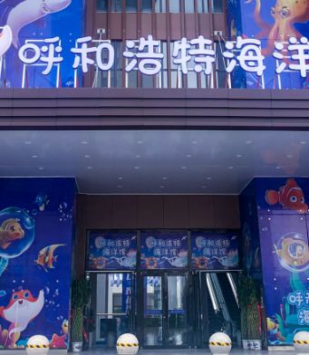 呼和浩特水族館：呼和浩特海洋生物種類和先進的展示技術吸引了眾多游客 全國觀賞魚市場 第6張