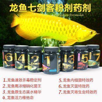 龍魚必備藥：龍魚常見病預防方法 龍魚百科 第1張