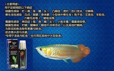 龍魚必備藥：龍魚常見病預防方法 龍魚百科 第2張