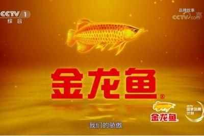 金龍魚 商譽：金龍魚商譽減值測試通常包括哪些步驟或標(biāo)準(zhǔn) 水族問答 第2張