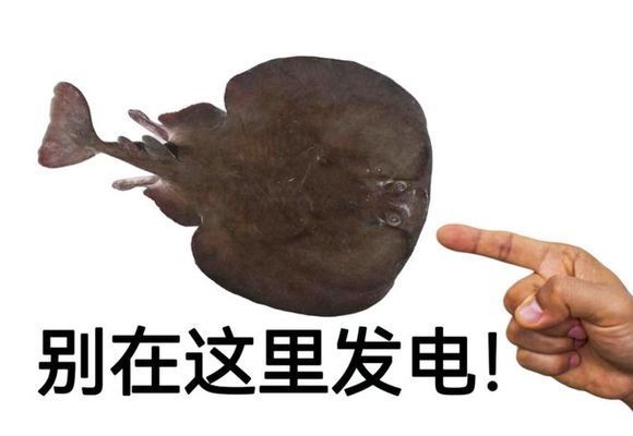 金龍魚 上市估值：益海嘉里旗下金龍魚登陸創(chuàng)業(yè)板首日市值破3000億元 水族問答 第1張