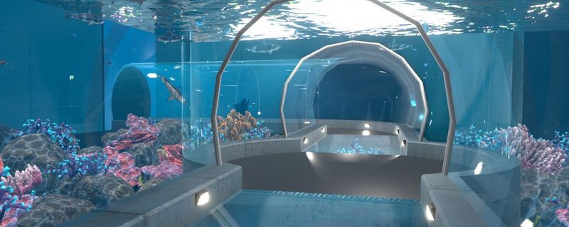 張家口水族館：張家口水族館vs祥龍魚場(chǎng)(張家口水族館