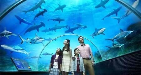 張家口水族館：張家口水族館vs祥龍魚場(張家口水族館 全國觀賞魚市場 第2張