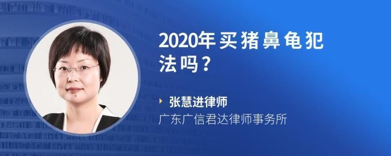 買(mǎi)了一只豬鼻龜會(huì)被判多久呢：個(gè)人購(gòu)買(mǎi)豬鼻龜被判刑是否違法？ 豬鼻龜百科 第6張