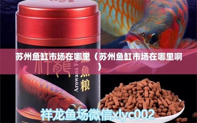 蘇州魚缸批發(fā)市場：蘇州魚缸市場在哪里 全國觀賞魚市場 第4張