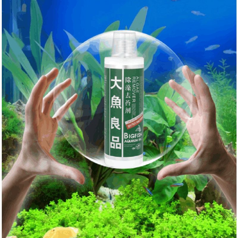 水族箱除苔素使用指南：水族箱中的青苔問題是一個常見問題是一個常見問題 龍魚百科 第5張