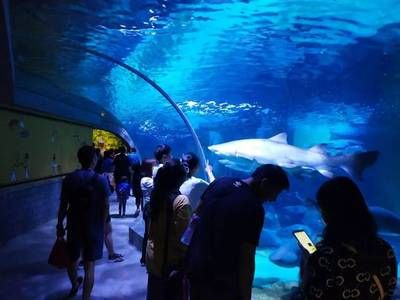 大理白族自治州水族館：云南大理白族自治州水族自治州水族文化共同構(gòu)成白族文化展覽中心 全國(guó)觀賞魚(yú)市場(chǎng) 第1張