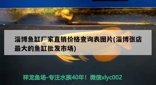 淄博魚缸批發(fā)市場：淄博魚缸廠家直銷價格查詢表 全國觀賞魚市場 第4張